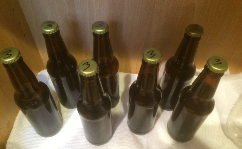 Beer #3 – 1 gallon IPA